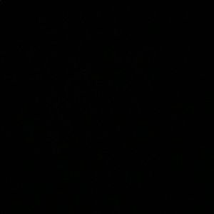 Meet your Posher, Liam